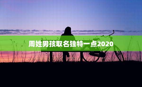 周姓男孩取名独特一点2020