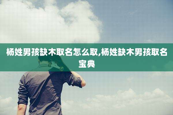 杨姓男孩缺木取名怎么取,杨姓缺木男孩取名宝典