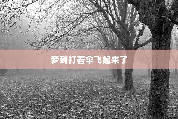 梦到打着伞飞起来了