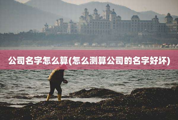 公司名字怎么算(怎么测算公司的名字好坏)