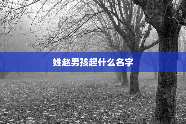 姓赵男孩起什么名字