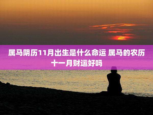 属马阴历11月出生是什么命运 属马的农历十一月财运好吗