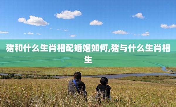 猪和什么生肖相配婚姻如何,猪与什么生肖相生