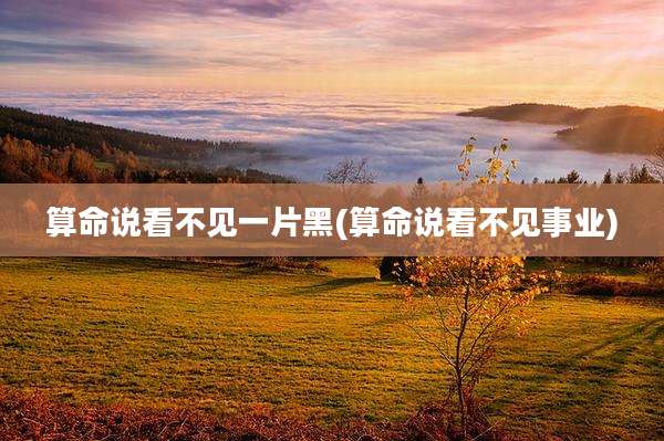 算命说看不见一片黑(算命说看不见事业)