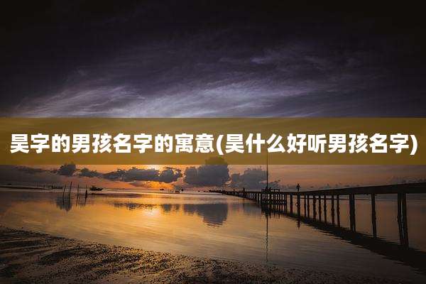 昊字的男孩名字的寓意(昊什么好听男孩名字)