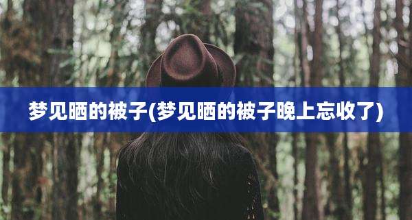 梦见晒的被子(梦见晒的被子晚上忘收了)