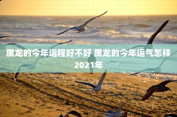 属龙的今年运程好不好 属龙的今年运气怎样2021年