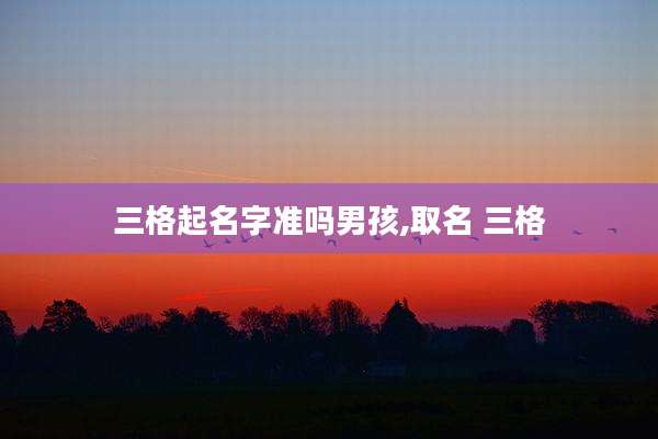 三格起名字准吗男孩,取名 三格