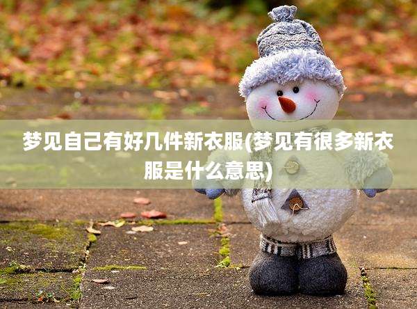 梦见自己有好几件新衣服(梦见有很多新衣服是什么意思)
