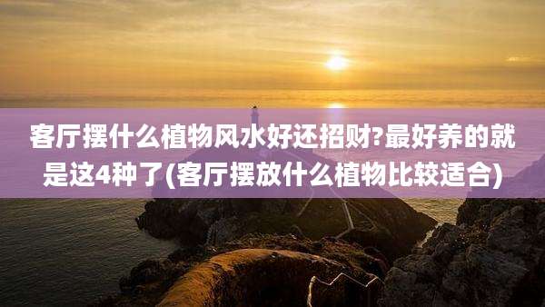 客厅摆什么植物风水好还招财?最好养的就是这4种了(客厅摆放什么植物比较适合)