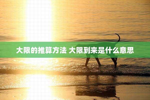 大限的推算方法 大限到来是什么意思