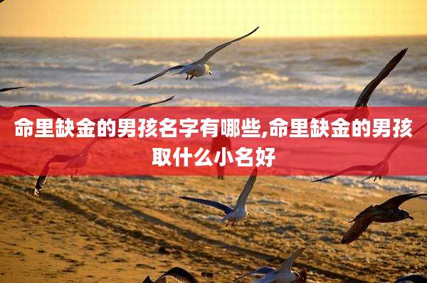 命里缺金的男孩名字有哪些,命里缺金的男孩取什么小名好