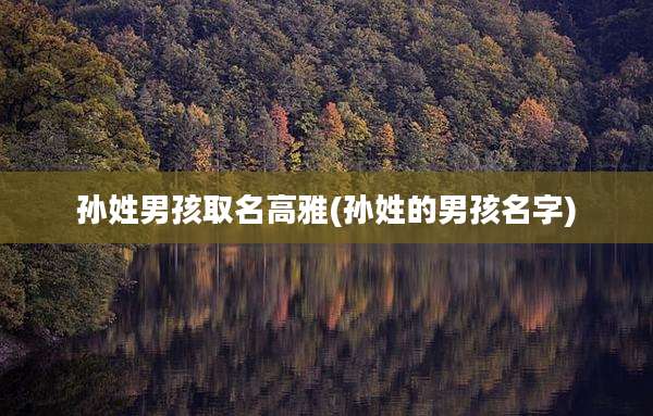 孙姓男孩取名高雅(孙姓的男孩名字)