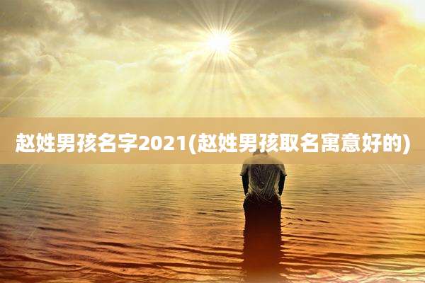 赵姓男孩名字2021(赵姓男孩取名寓意好的)