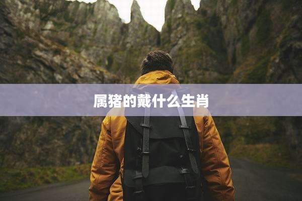 属猪的戴什么生肖