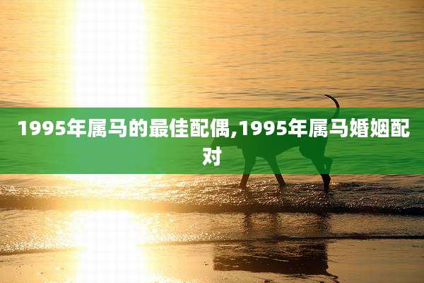 1995年属马的最佳配偶,1995年属马婚姻配对