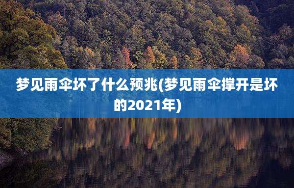 梦见雨伞坏了什么预兆(梦见雨伞撑开是坏的2021年)