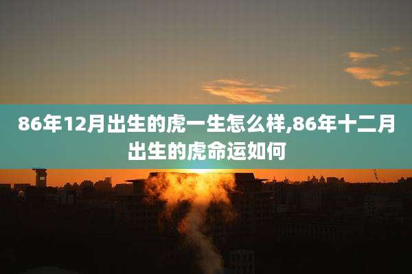 86年12月出生的虎一生怎么样,86年十二月出生的虎命运如何