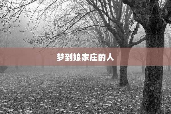 梦到娘家庄的人