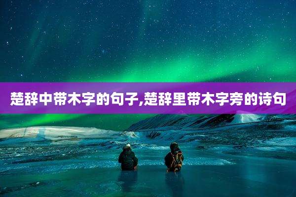 楚辞中带木字的句子,楚辞里带木字旁的诗句