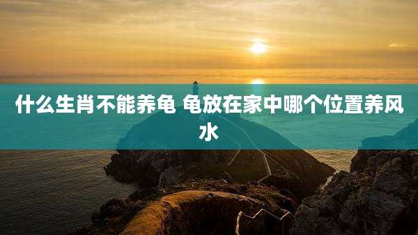 什么生肖不能养龟 龟放在家中哪个位置养风水
