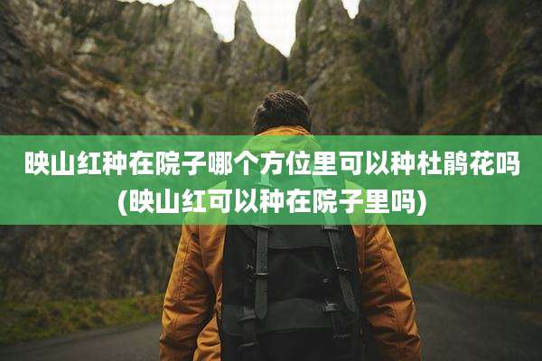 映山红种在院子哪个方位里可以种杜鹃花吗(映山红可以种在院子里吗)
