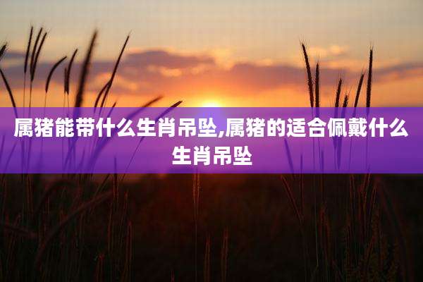 属猪能带什么生肖吊坠,属猪的适合佩戴什么生肖吊坠