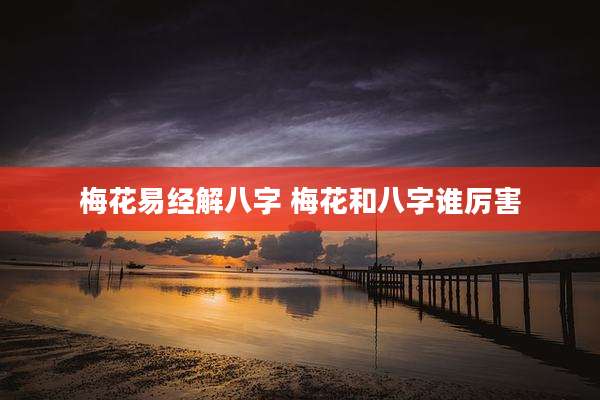 梅花易经解八字 梅花和八字谁厉害