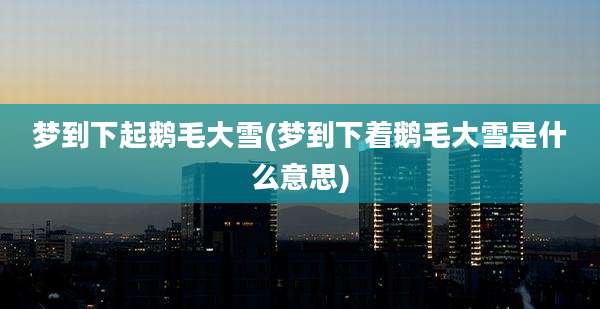 梦到下起鹅毛大雪(梦到下着鹅毛大雪是什么意思)
