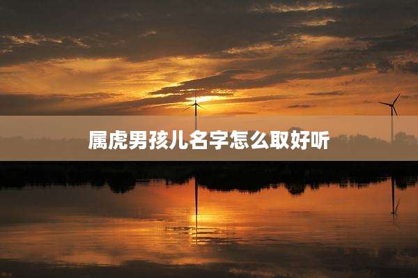 属虎男孩儿名字怎么取好听
