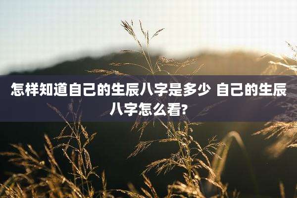 怎样知道自己的生辰八字是多少 自己的生辰八字怎么看?