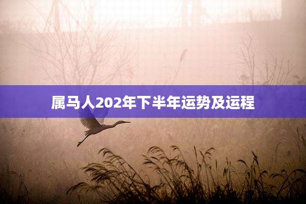 属马人202年下半年运势及运程