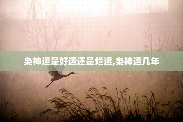 枭神运是好运还是烂运,枭神运几年