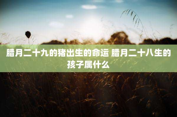 腊月二十九的猪出生的命运 腊月二十八生的孩子属什么