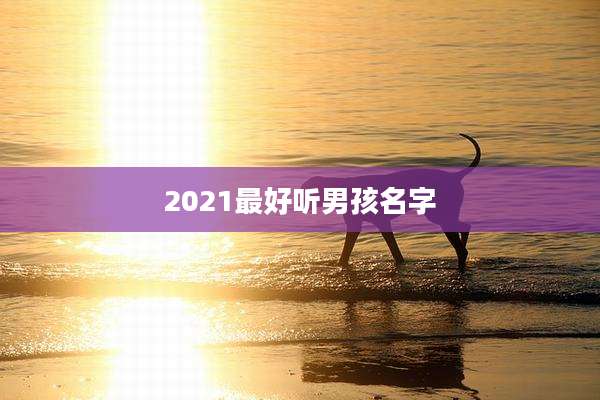 2021最好听男孩名字