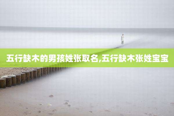 五行缺木的男孩姓张取名,五行缺木张姓宝宝