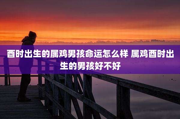 酉时出生的属鸡男孩命运怎么样 属鸡酉时出生的男孩好不好