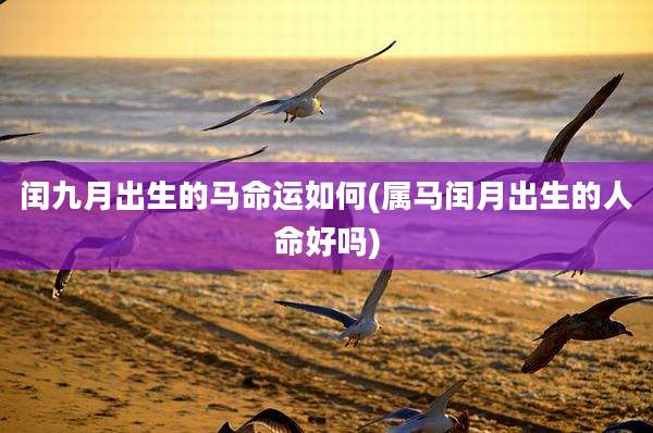 闰九月出生的马命运如何(属马闰月出生的人命好吗)