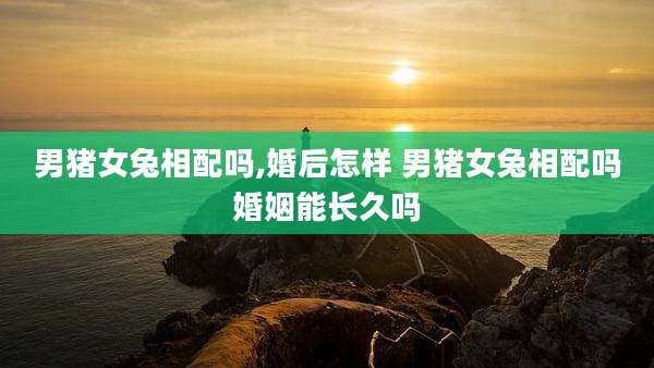 男猪女兔相配吗,婚后怎样 男猪女兔相配吗婚姻能长久吗