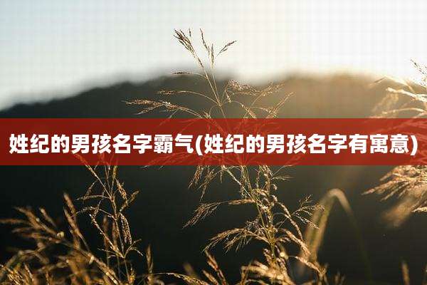 姓纪的男孩名字霸气(姓纪的男孩名字有寓意)
