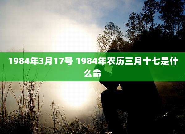 1984年3月17号 1984年农历三月十七是什么命