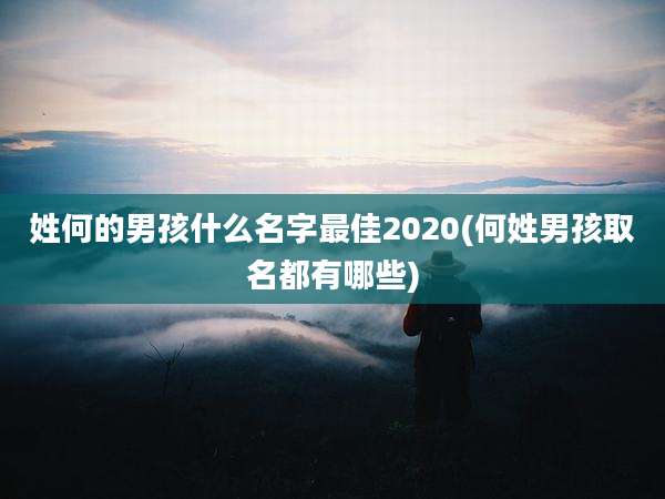 姓何的男孩什么名字最佳2020(何姓男孩取名都有哪些)