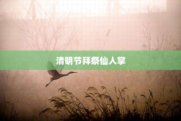 清明节拜祭仙人掌
