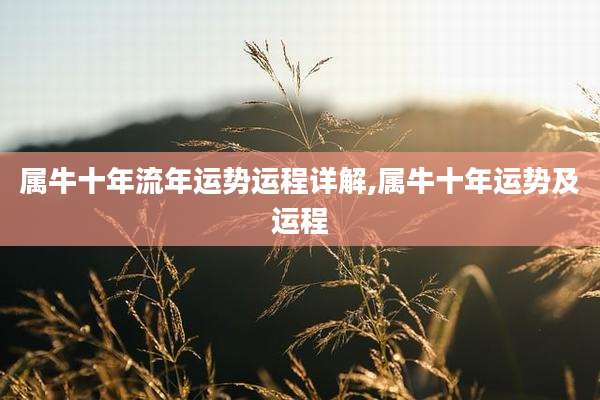属牛十年流年运势运程详解,属牛十年运势及运程
