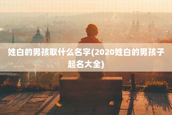 姓白的男孩取什么名字(2020姓白的男孩子起名大全)