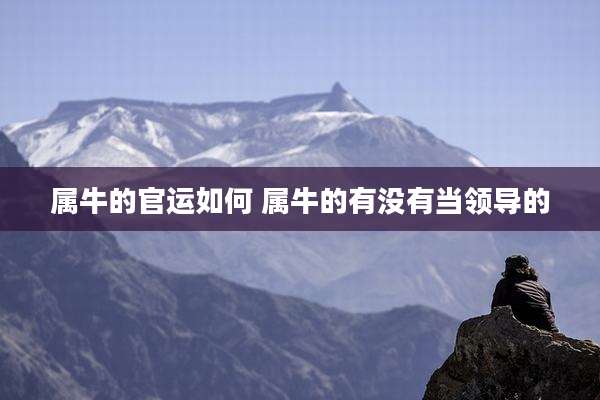 属牛的官运如何 属牛的有没有当领导的