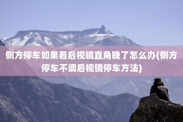 侧方停车如果看后视镜直角晚了怎么办(侧方停车不调后视镜停车方法)