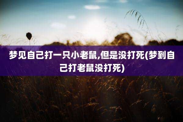梦见自己打一只小老鼠,但是没打死(梦到自己打老鼠没打死)
