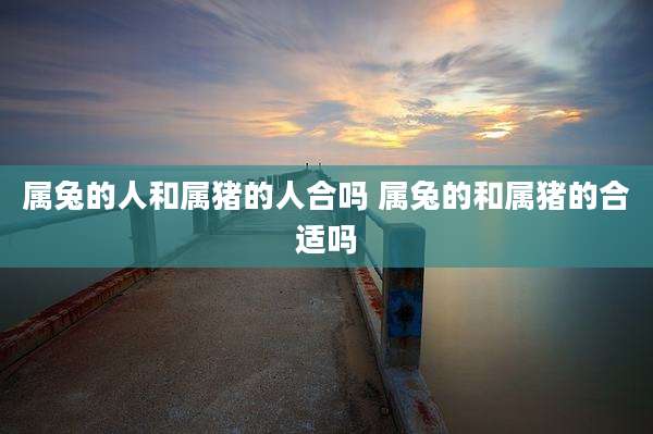 属兔的人和属猪的人合吗 属兔的和属猪的合适吗