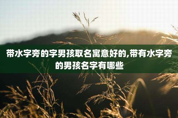 带水字旁的字男孩取名寓意好的,带有水字旁的男孩名字有哪些